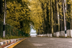 ChasmashiRoad-IMG_2482-Enhanced-Edit-2019