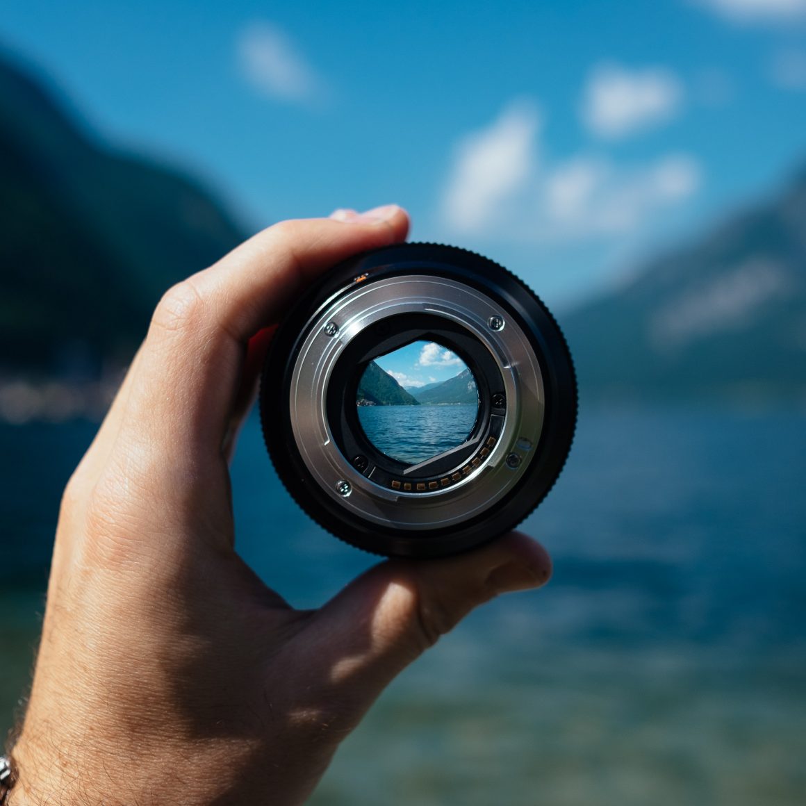 Read more about the article Focus